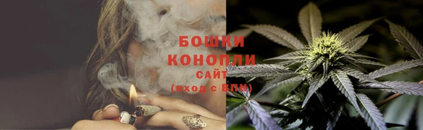 стафф Елизово