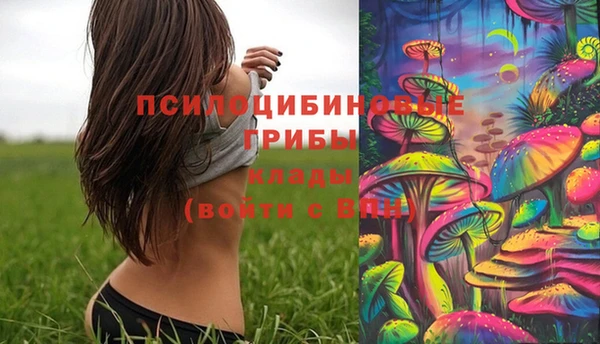 стафф Елизово