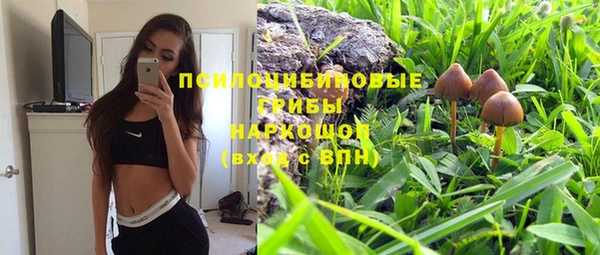 амф Елабуга
