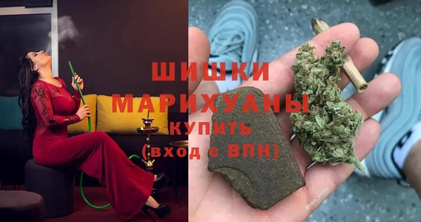 стафф Елизово