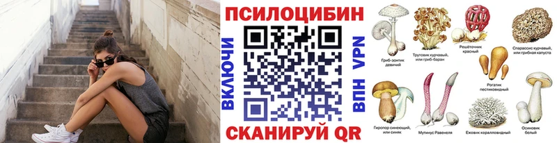 Купить закладки  Изобильный  Псилоцибиновые грибы Magic Shrooms 